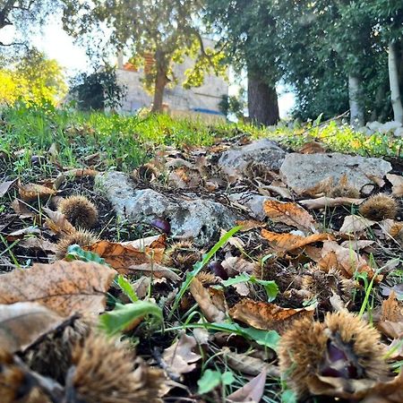 Il Trullo E Il Fortino Alberobello Luaran gambar