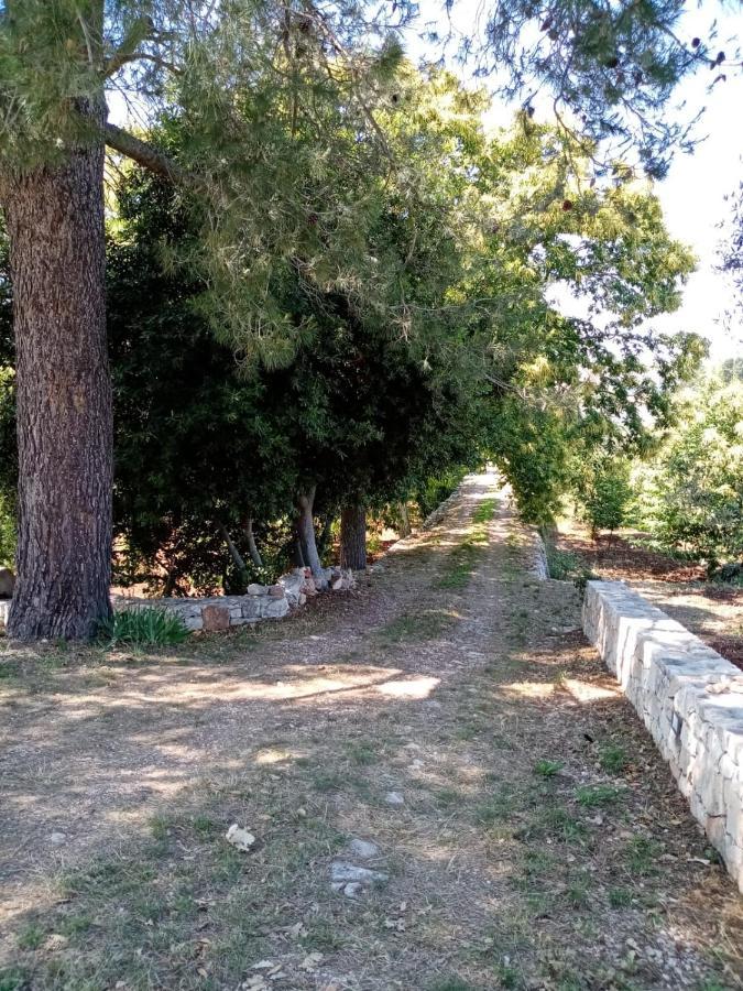 Il Trullo E Il Fortino Alberobello Luaran gambar