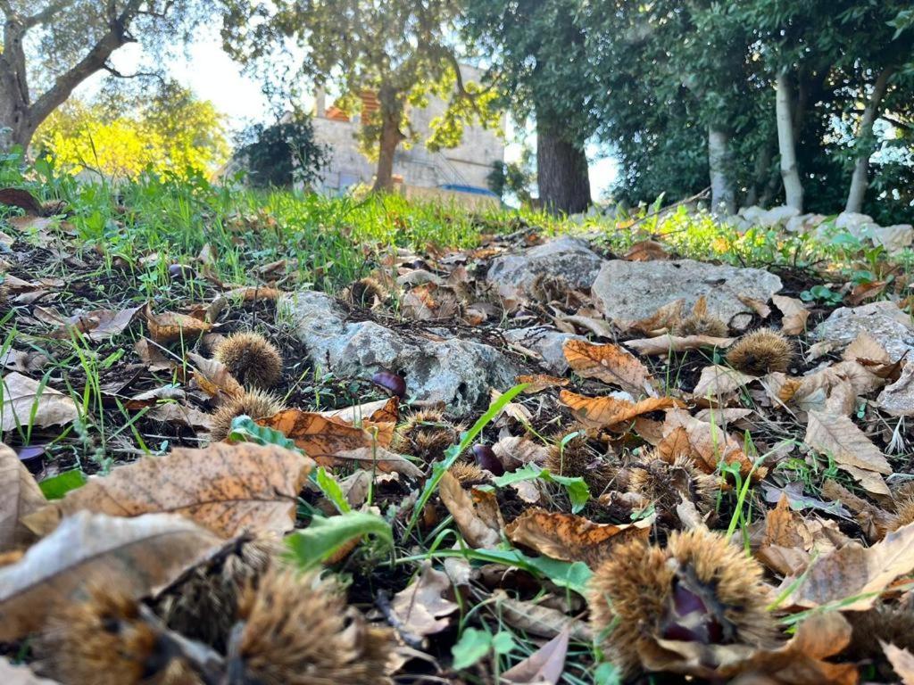 Il Trullo E Il Fortino Alberobello Luaran gambar