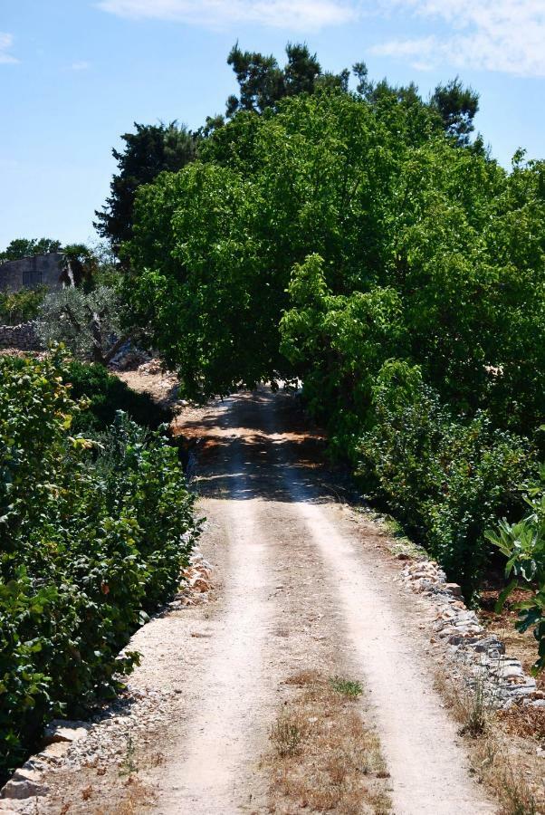 Il Trullo E Il Fortino Alberobello Luaran gambar